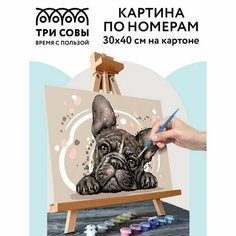 Подарочный набор для творчества . Картины по номерам . От 7 лет China