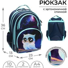 Рюкзак школьный, 36 х 23 х 13 см, эргономичная спинка, Calligrata П "Совушка"