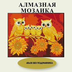 Алмазная мозаика, без подрамника, Живопись, Картина стразами "Совы" 45х35 см Нет бренда