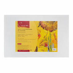 Невская Палитра Холст на картоне грунтованный 40х60см 100% хлопок