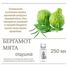 Бергамот и мята, отдушка для свечей и мыла (250 мл) Candle M