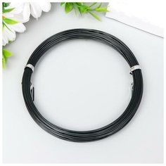 Проволока для рукоделия "Астра" 1 мм, 10 м, чёрный Astra & Craft