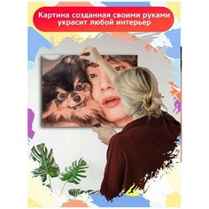 Картина по номерам Музыка BTS Ким Ёнтан - 7169 Г 30x40