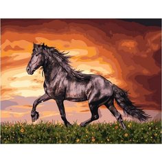 Картина по номерам Черный конь 40х50 см Hobby Home