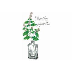 Набор для вышивания крестом Искусница Ароматные травы. Мята, 10*18см