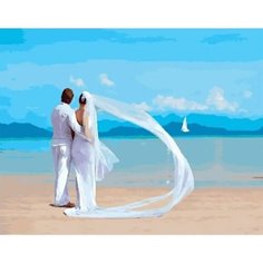 Картина по номерам Счастливая пара 40х50 см 000 Art Hobby Home
