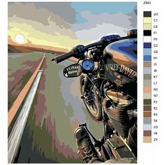 Картина по номерам Z843 "Мотоцикл-Harley Davidson" 70x90 Brushes Paints