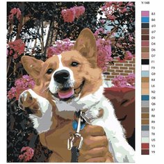 Картина по номерам Y148 " Веселый малыш корги. Собака " 60x80 Brushes Paints