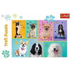 Пазл В мире собачек 100 элементов Trefl, 16421