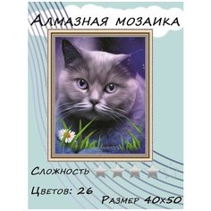 Алмазная мозаика "Кошка" Painting Time