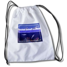 Мешок для сменной обуви Игры Ecco The Dolphin - 33565 Brut Boxers