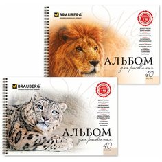 Альбом BRAUBERG 102831, комплект 10 шт.