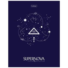 Тетрадь на кольцах, 160 листов в клетку Альт