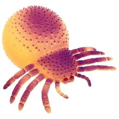 Мялка «Морской зверёк» с пастой, цвета микс Нет бренда