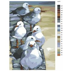 Картина по номерам V-977 "Чайки у берега моря", 40x60 см Brushes Paints