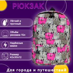 Рюкзак (ранец) мужской, женский, енот беж, школьный, подростковый городской унисекс-6 Nex Plan