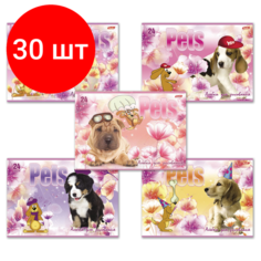 Комплект 30 шт, Альбом для рисования, А4, 24 листа, скоба, обложка картон, HATBER, 205х290 мм, "Любимцы", 24А4В, A090770