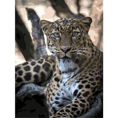 Картина по номерам Леопард на дереве 40х50 см Hobby Home