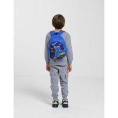 Рюкзак детский/дошкольный для мальчика/голубой Без бренда