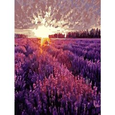Картина по номерам Закат 40х50 см Hobby Home