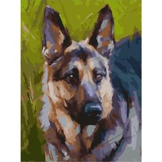 Картина по номерам Овчарка 40х50 см Hobby Home