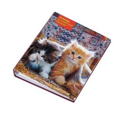 Тетрадь на кольцах альт+сменный блок, 160л