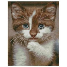 Алмазная мозаика на подрамнике 40x50 см / круглые стразы / Рыжий котенок Noname