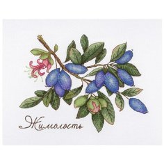 Набор для вышивания "Дары природы. Жимолость", 15x20 см, МП-студия М.П.Студия