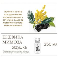 Ежевика и мимоза, отдушка для свечей и мыла (250 мл) Candle M