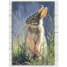 Картина по номерам на холсте Любопытный заяц (кролик) - 9038 В 60x40