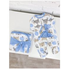 Комплект летний "Лесные белки " голубые : плед, лента, комбинезон, шапочка СуперМаМкет