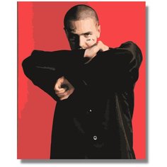 Картина по номерам "Фейс / Face " холст на подрамнике 40х50