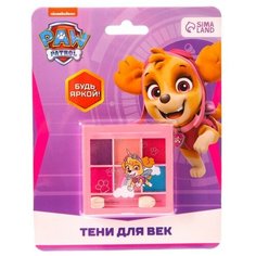 Тени детские Paw Patrol "Скай", 6 цветов Spin Master