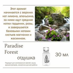 Paradise Forest, отдушка для свечей и мыла (30 мл) Candle M