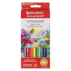 Карандаши цветные акварельные BRAUBERG "академия" 12 цветов шестигранные высокое качество, 4 шт