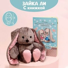 Мягкая игрушка «Зайка Li», с книгой, девочка Зайки Li&Lu