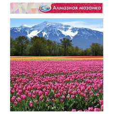 Алмазная мозаика без подрамника, частичное заполнение «Горный пейзаж» 40 × 50 см Noname