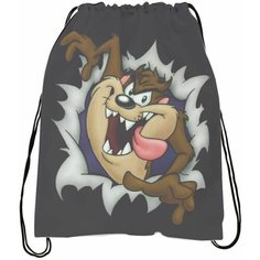 Мешок-сумка для обуви Looney Tunes - Безумные Мотивы № 3 Bugrikshop