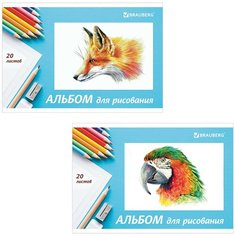 Альбом для рисования, А4, 20 л, скоба, обложка картон, BRAUBERG, 200х283 мм, "Я рисую мир" (2 вида), 104872