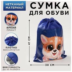 Сумка для обуви "Собака" 41*30*0,5см Art Fox
