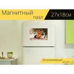 Магнитный пазл "Французский мастиф, щенок, снег" на холодильник 27 x 18 см. Lots Prints