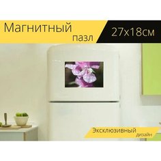 Магнитный пазл "Горошек, сад, цветы" на холодильник 27 x 18 см. Lots Prints
