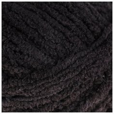 Пряжа "Softy Plus" 100% микрополиэстер 120м/100г (60 чёрный) Alize