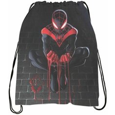 Мешок для обуви Человек-паук - Spider-Man № 30 Bugrikshop