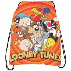 Мешок-сумка для обуви Looney Tunes - Безумные Мотивы № 4 Bugrikshop