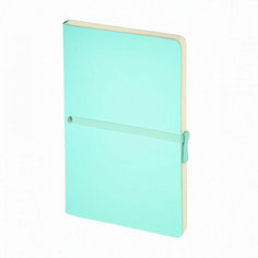 Ежедневник Tokyo в точку (мятный) Bruno Visconti