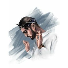 Картина по номерам Мияги 40х50 см АртТойс