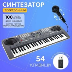 Синтезатор Нотка, 54 клавиши, работает от батареек и от сети, адаптер в комплект не входит Made in China