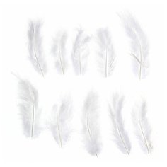 Набор перьев для декора 10 шт, размер 1 шт: 10 × 2 см, цвет белый Noname