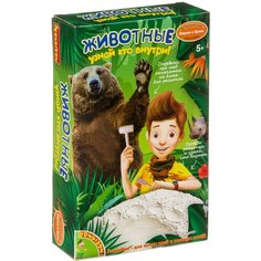 Набор для раскопок BONDIBON Животные: Узнай, кто внутри! (ВВ4119), 1 эксперимент